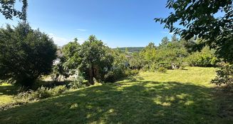 von_poll_real_estate_property_25290005_image_5