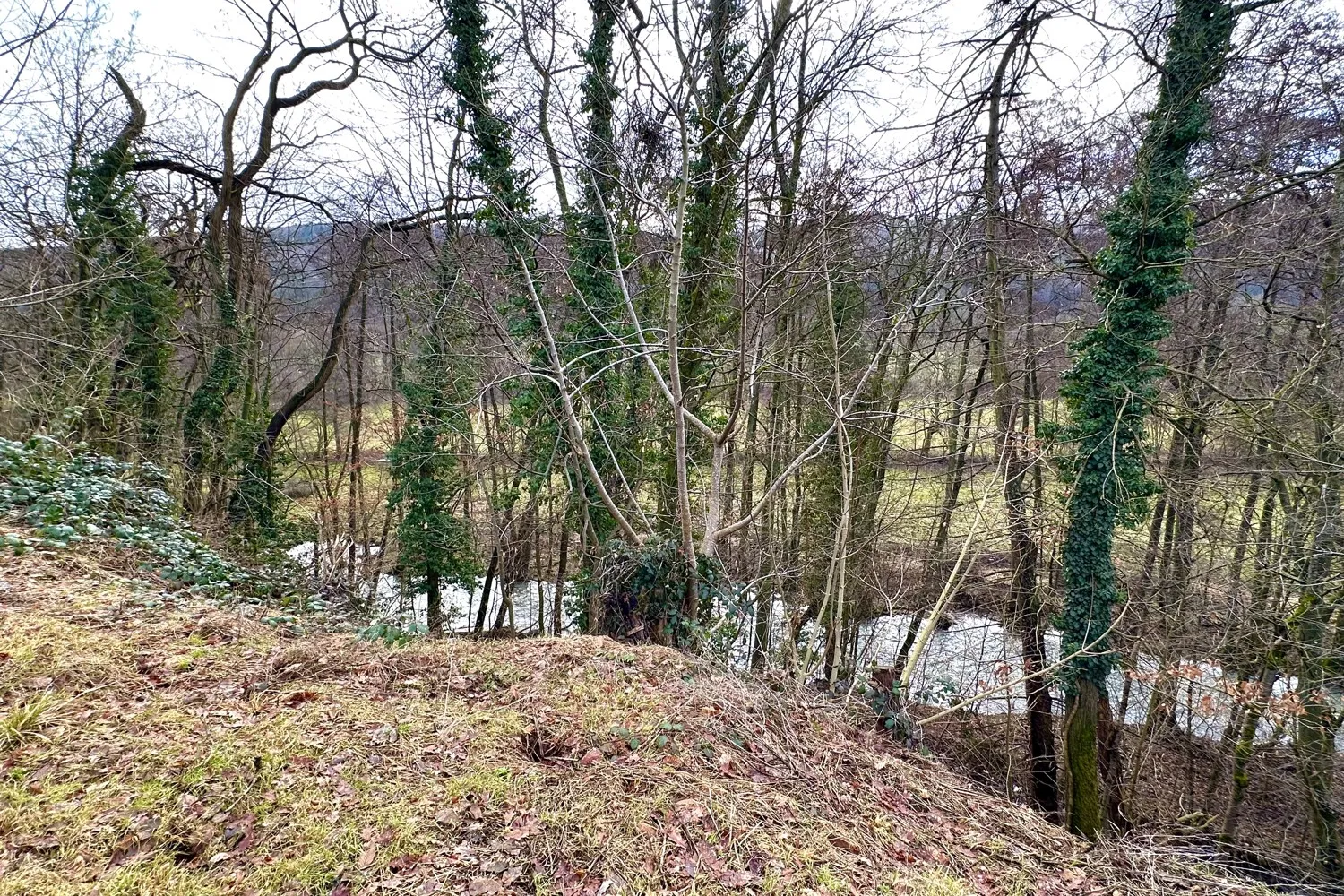 Seemenbach