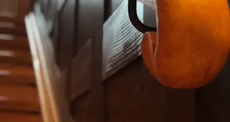 von_poll_real_estate_property_24296016_image_27