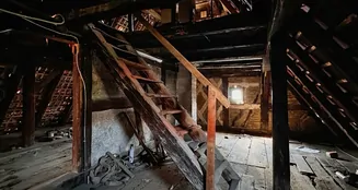 von_poll_real_estate_property_25296013_image_22