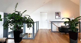 von_poll_real_estate_property_25296008_image_24