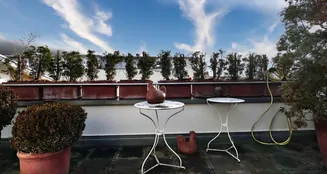 von_poll_real_estate_property_25296017_image_18