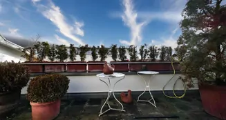 von_poll_real_estate_property_25296017_image_18