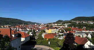 von_poll_real_estate_property_25296016_image_9