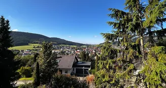 von_poll_real_estate_property_25296019_image_22