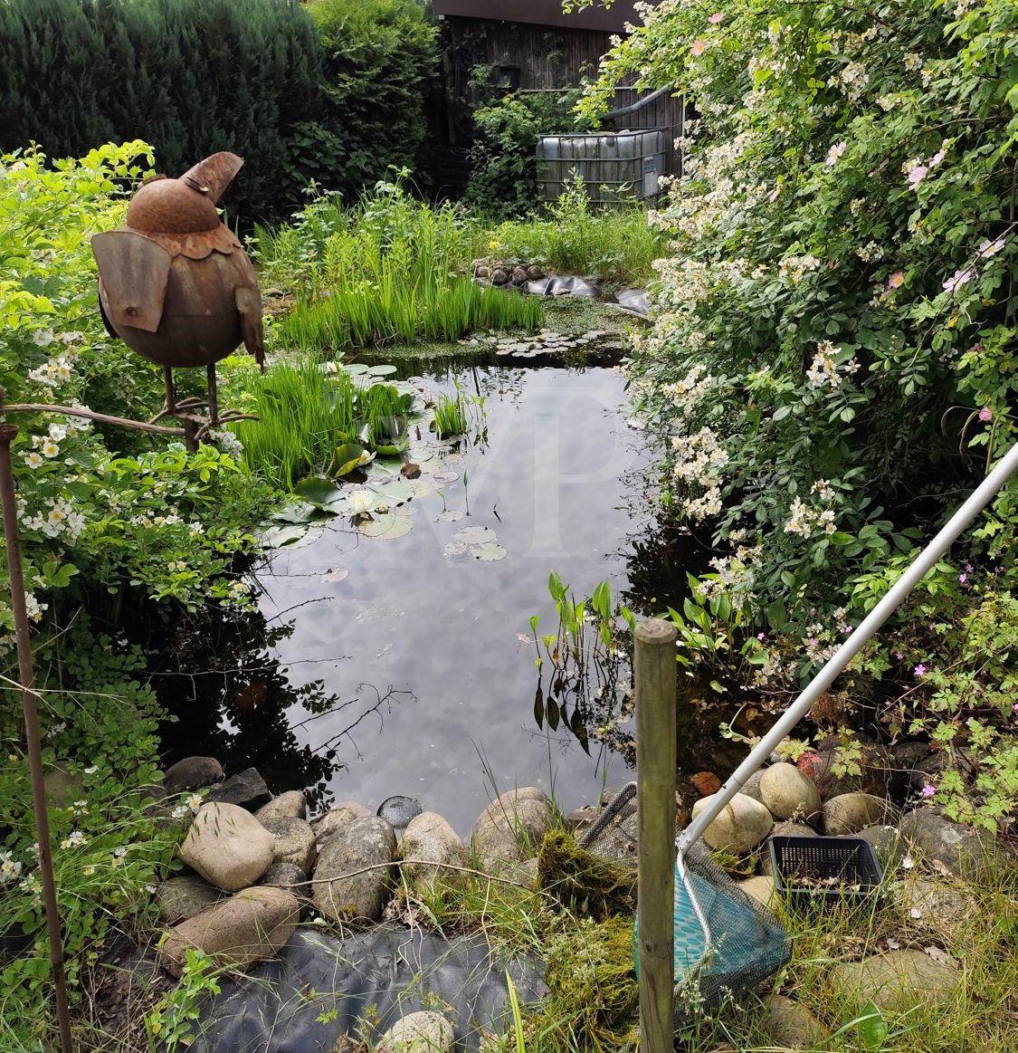 Garten mit Teich