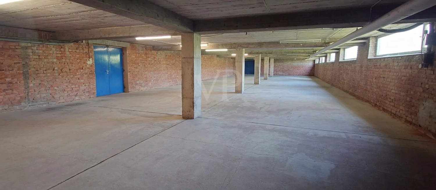 Ausstellungshalle KG