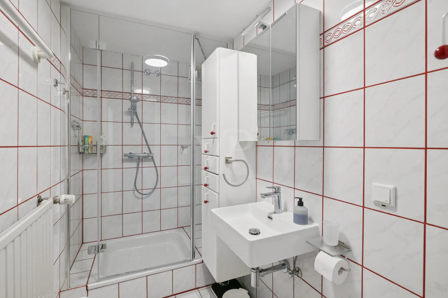 Duschbad Einliegerwohnung