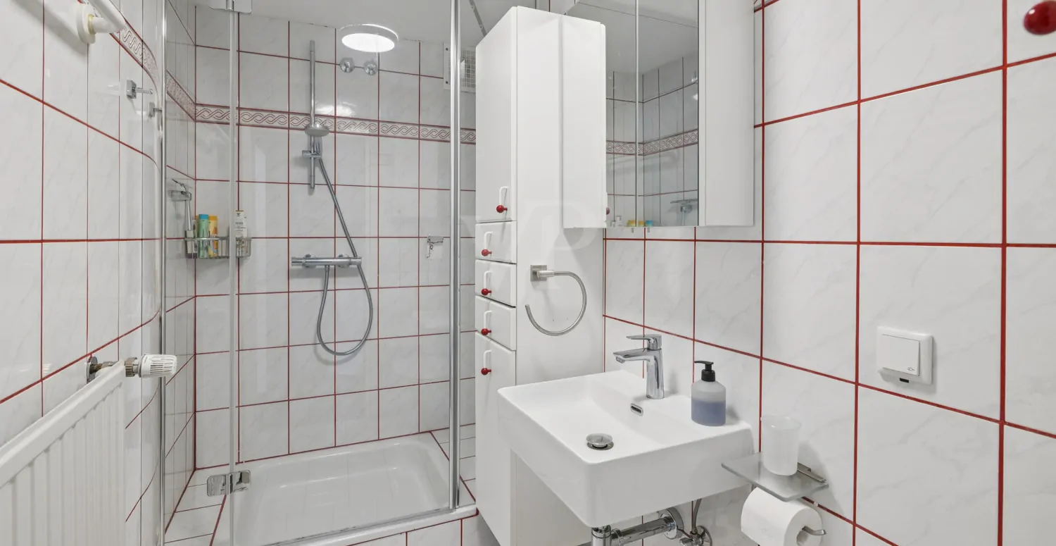 Duschbad Einliegerwohnung