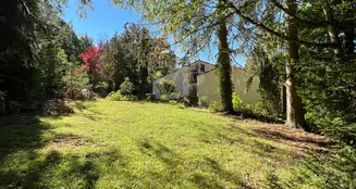 von_poll_real_estate_property_25309078_image_13