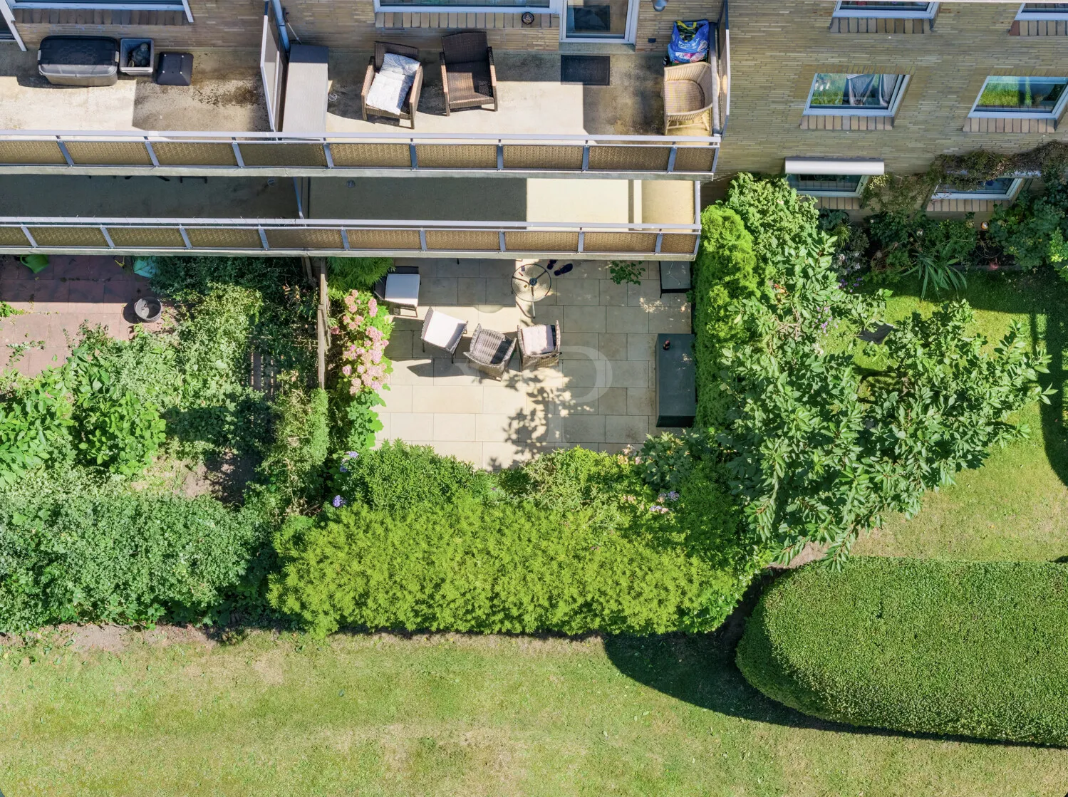 Rückansicht - eingewachsener Garten