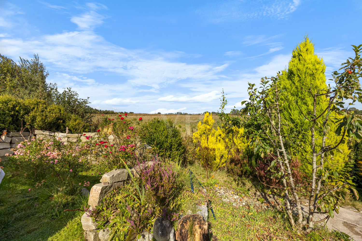 Der Gartenbereich