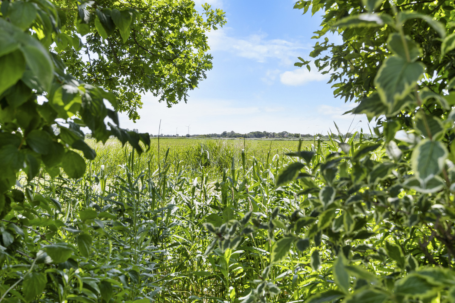 Weitblick über die Felder