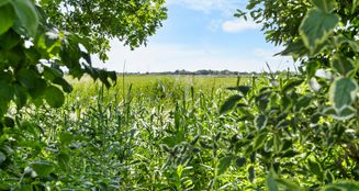 von_poll_real_estate_property_25284015_image_23
