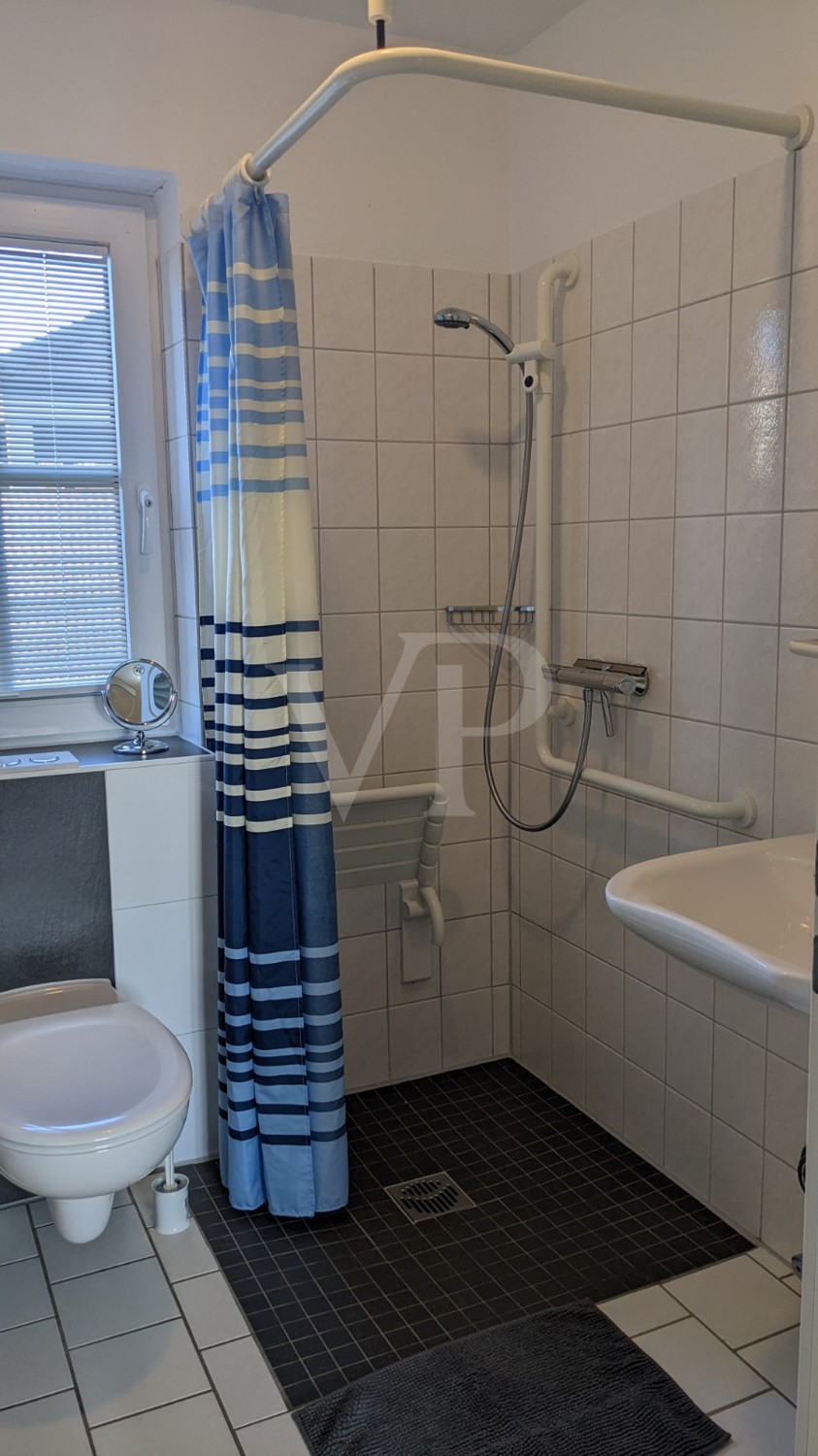 Dusche/WC mit Rollstuhl oder Rollator befahrbar, Haltegriffe, kippbarer Waschbeckenspiegel