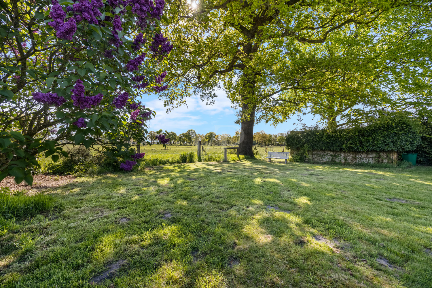 Gartenansicht