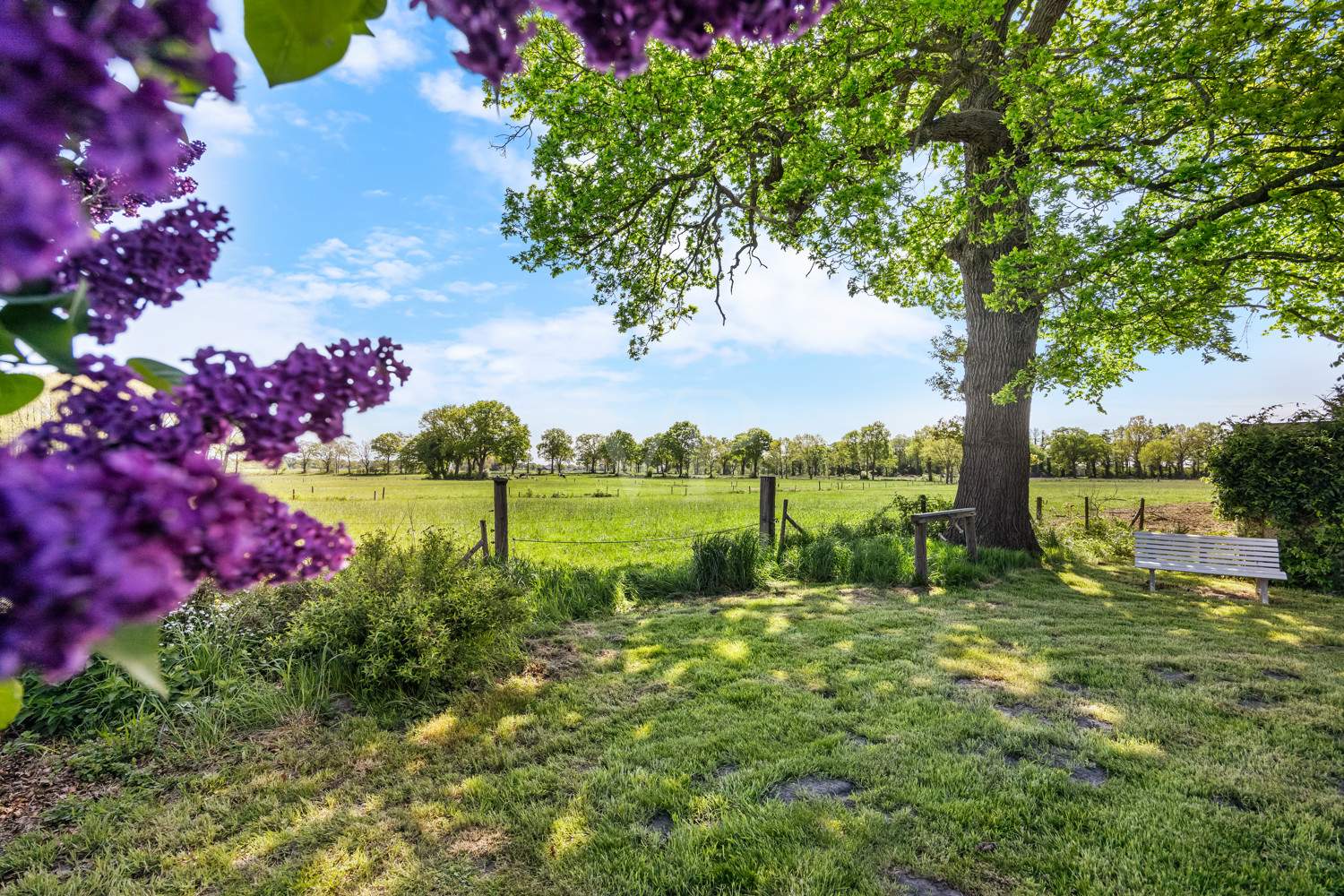 Blühender Garten