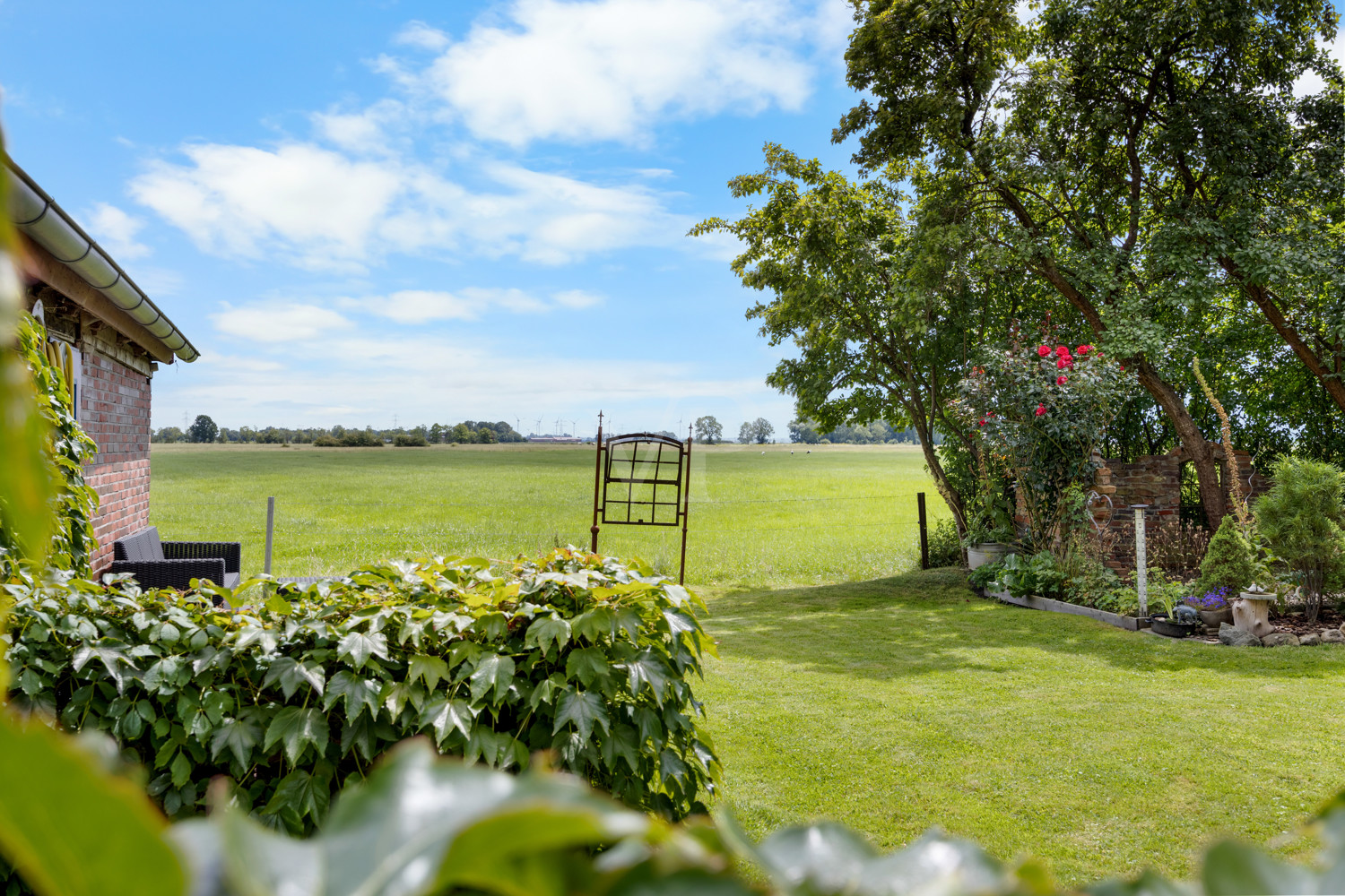 Blick in Garten und zur Wiese