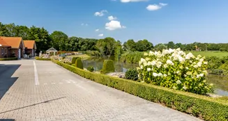 von_poll_real_estate_property_25284024_image_28