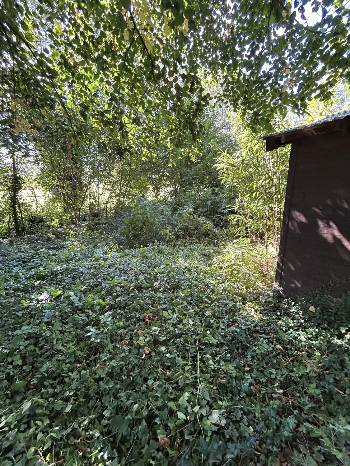 Ansicht