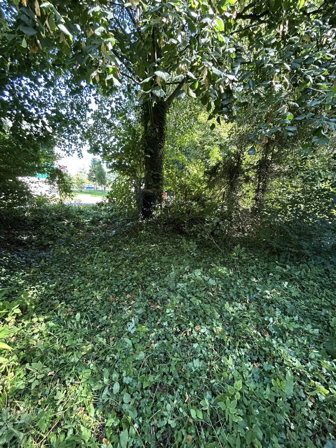 Ansicht