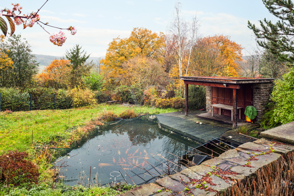 Teich mit Gartenhaus