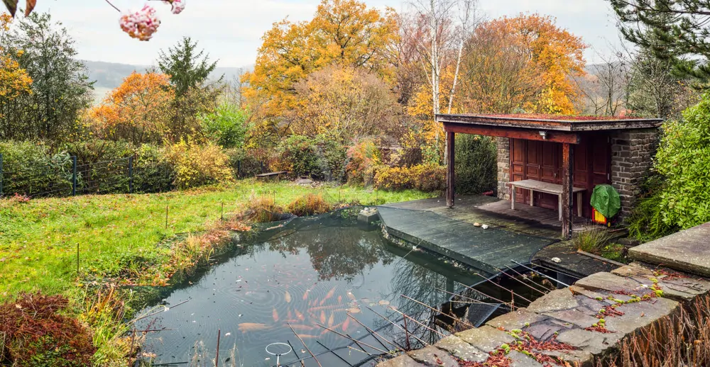 Teich mit Gartenhaus