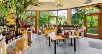 von_poll_real_estate_property_24315012_image_4