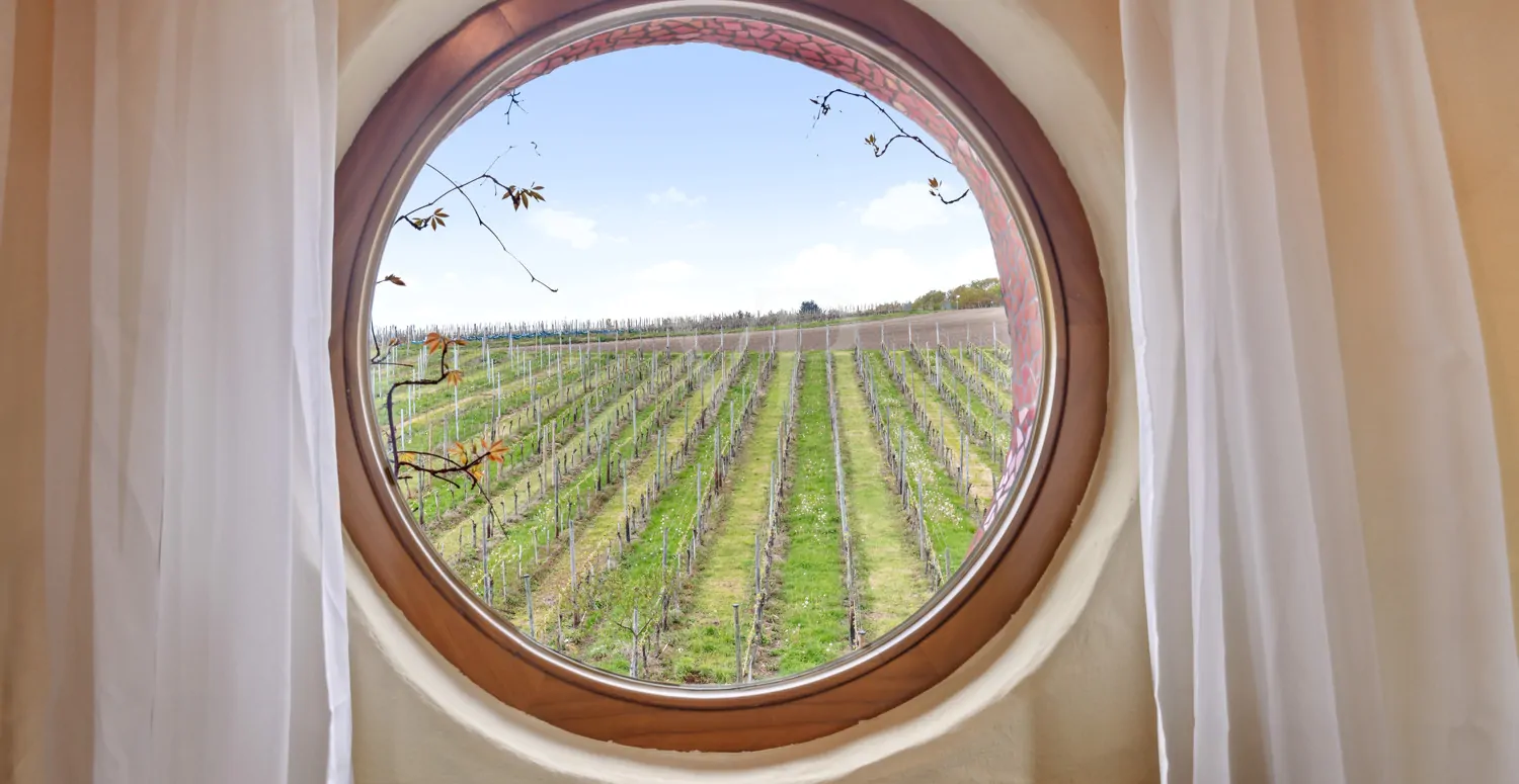 Ausblick in Ihre Zukunft