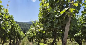 von_poll_real_estate_property_24315012_image_0