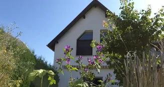 von_poll_real_estate_property_25315012_image_0