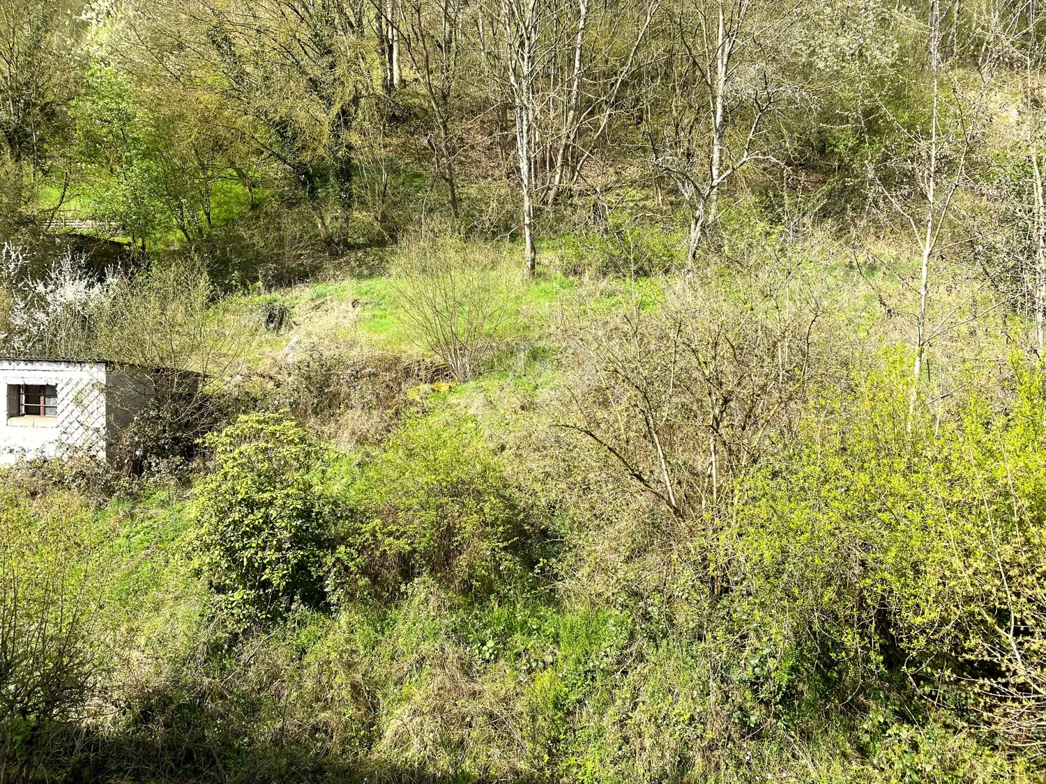 **Grundstück in Sackgasse - Nähe Nürburgring mit flexibler Bebauung**