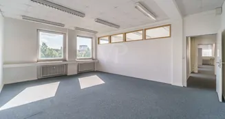 von_poll_real_estate_property_25271056_image_6