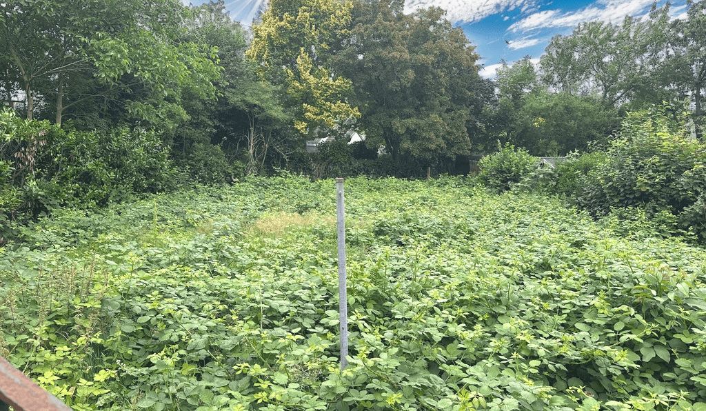 Gartenanteil hinter Altbestand