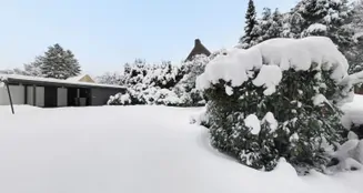 von_poll_real_estate_property_26140242_image_18