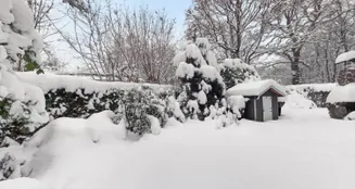 von_poll_real_estate_property_26140242_image_16