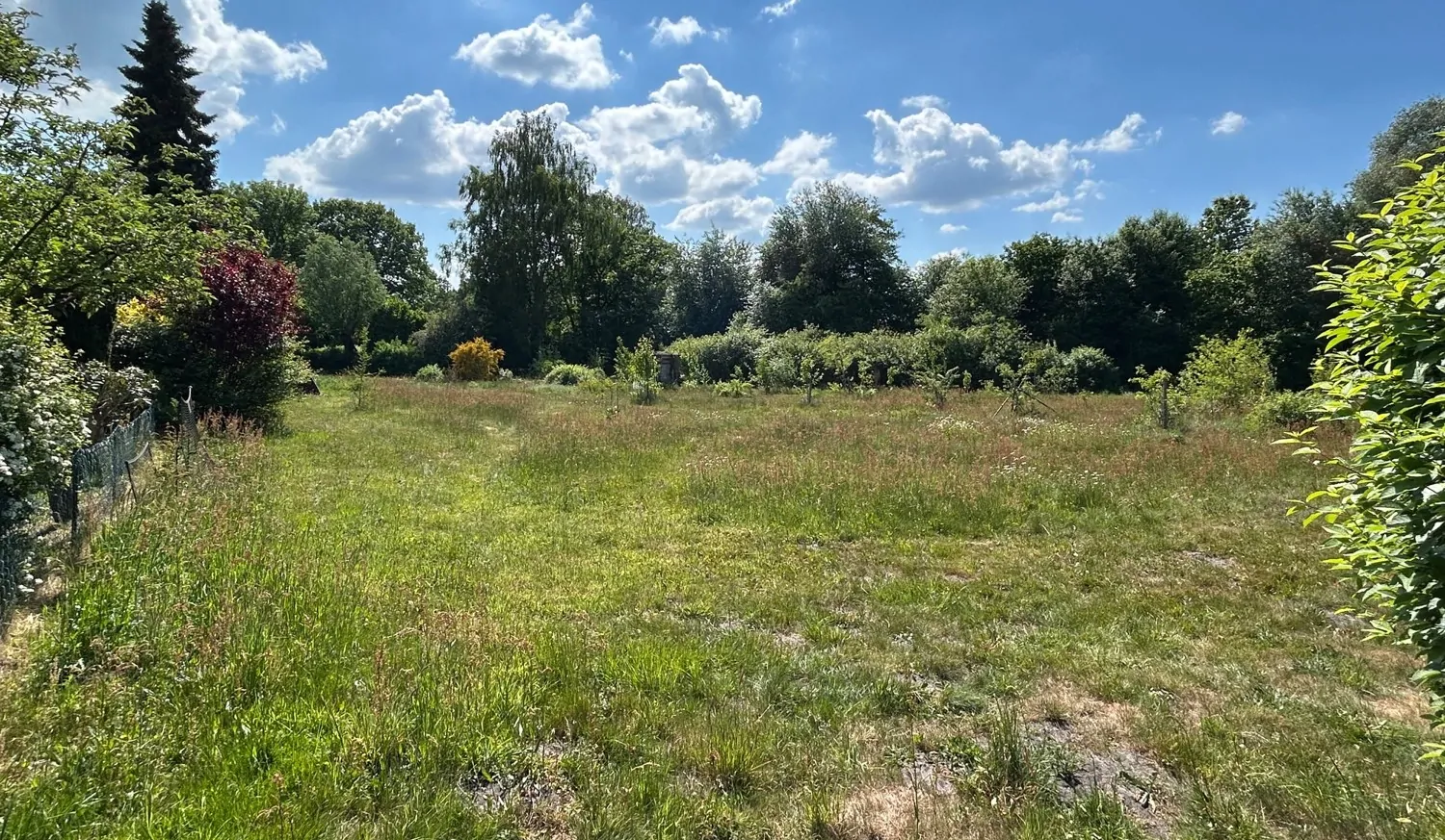 Gemeinschaftseigentum Grünland