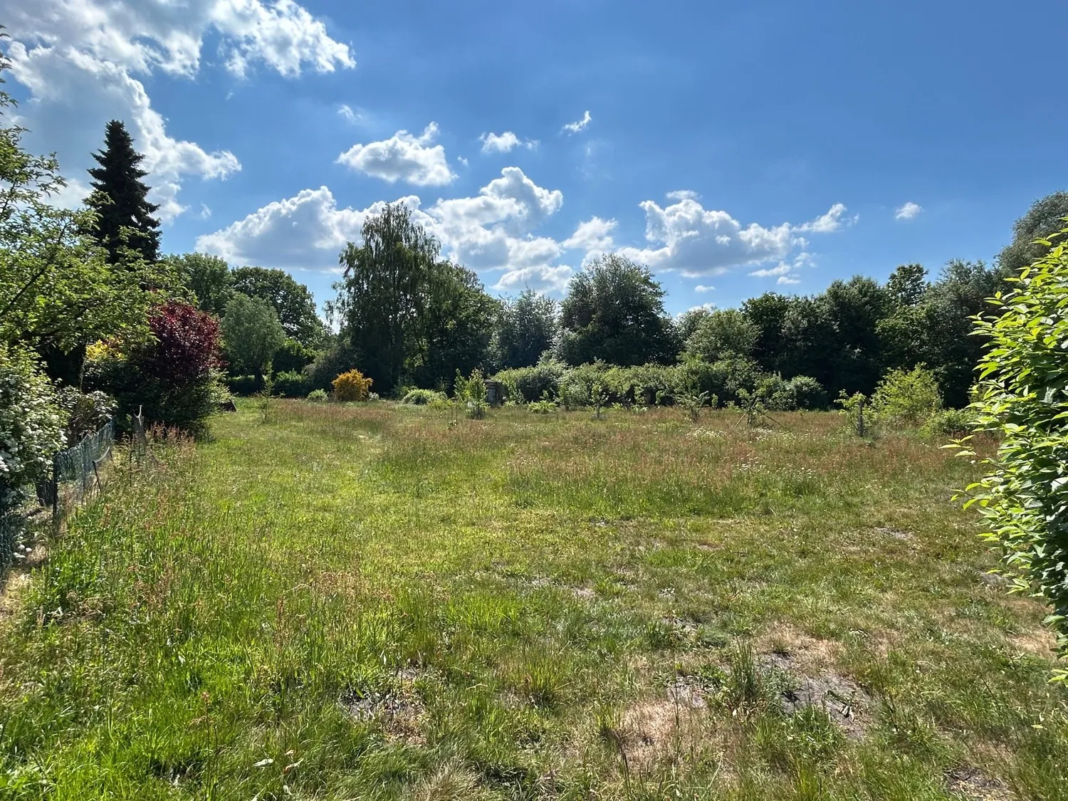 Gemeinschaftseigentum Grünland