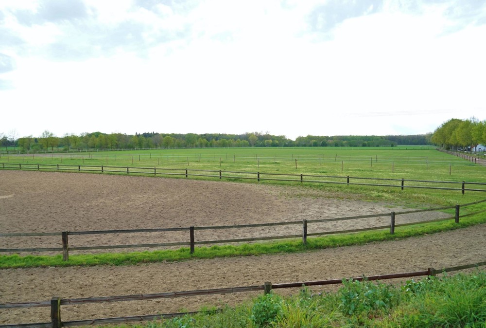Koppel Böckenholt