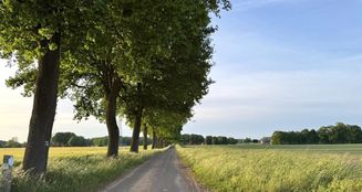 von_poll_real_estate_property_25264140_image_21