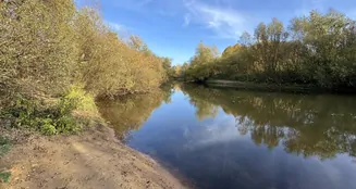 von_poll_real_estate_property_25264156_image_24