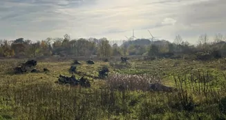 von_poll_real_estate_property_25264156_image_25