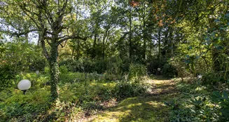 von_poll_real_estate_property_NL23185432_image_6