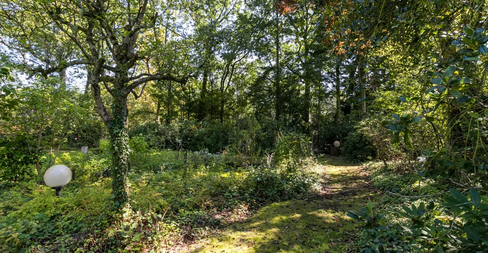 Simon van Slingelandlaan nw - 7