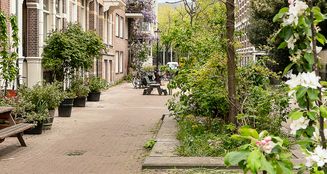 von_poll_real_estate_property_NL25185526_image_41