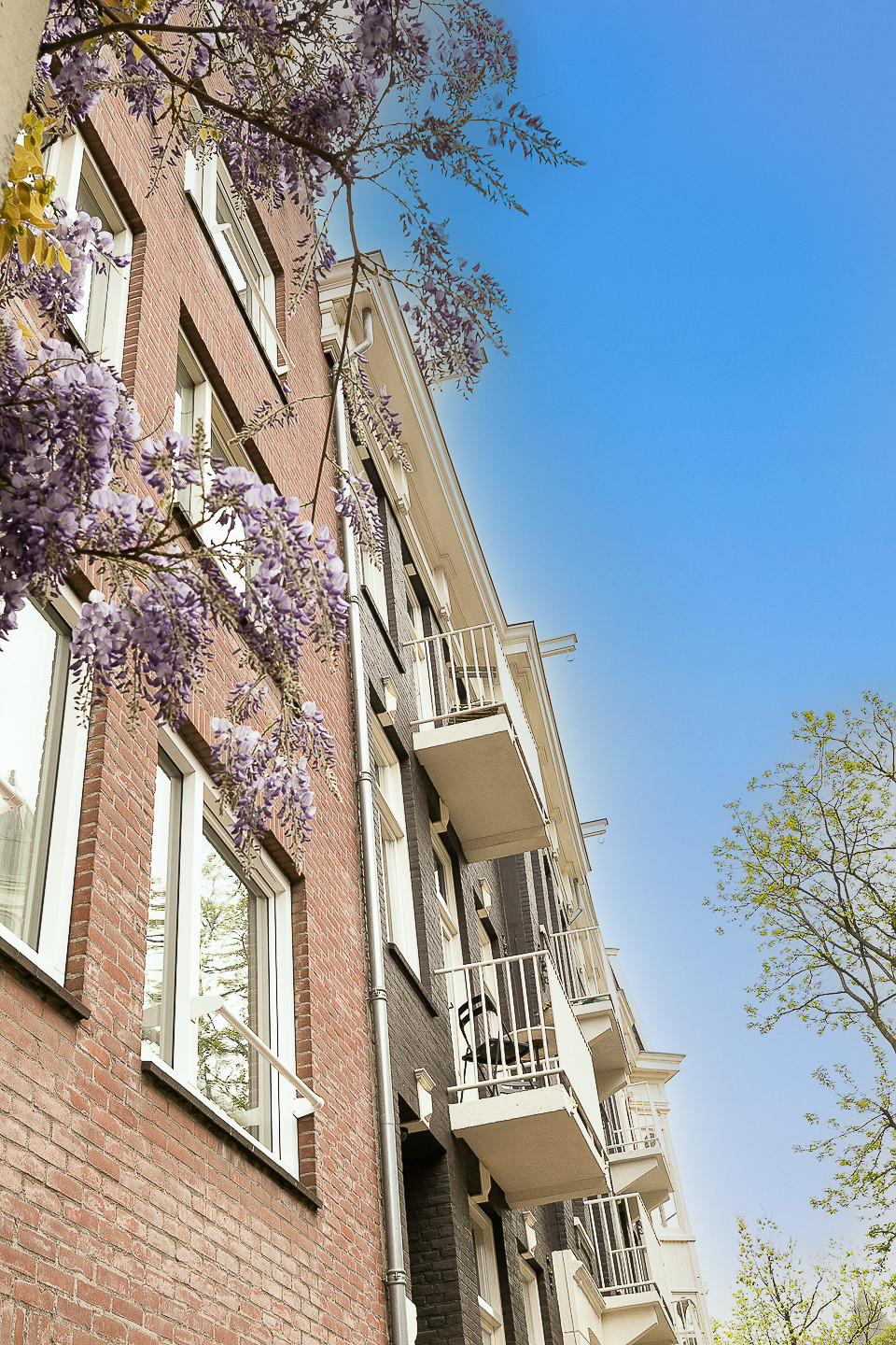 Alexanderstraat_7_II_Amsterdam-43