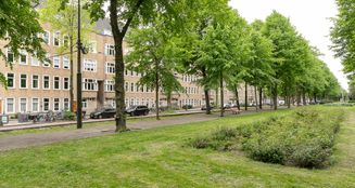 von_poll_real_estate_property_NL25185531_image_3