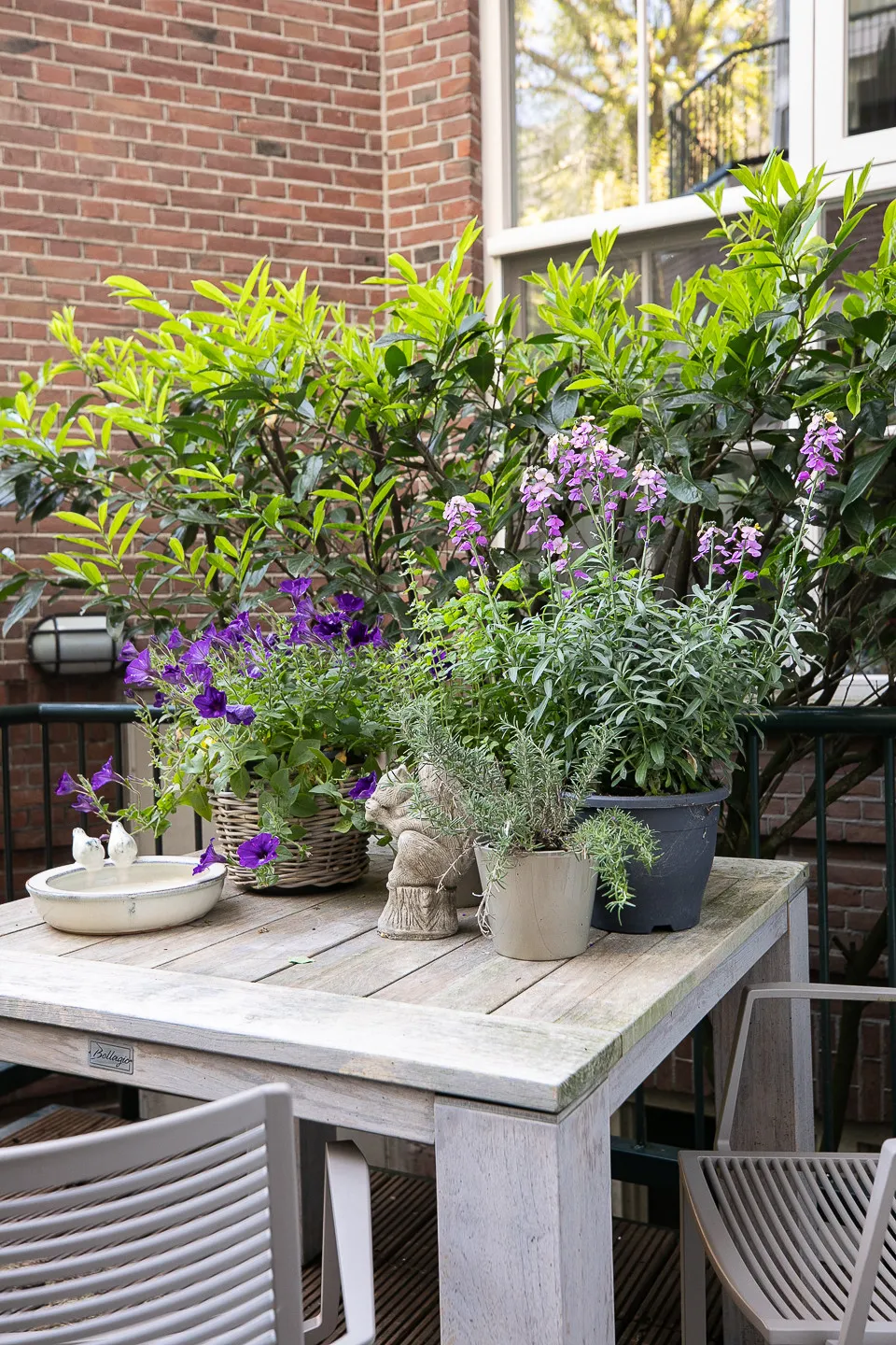 J.M. Coenenstraat_48_Amsterdam-48