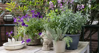 von_poll_real_estate_property_NL25185532_image_39