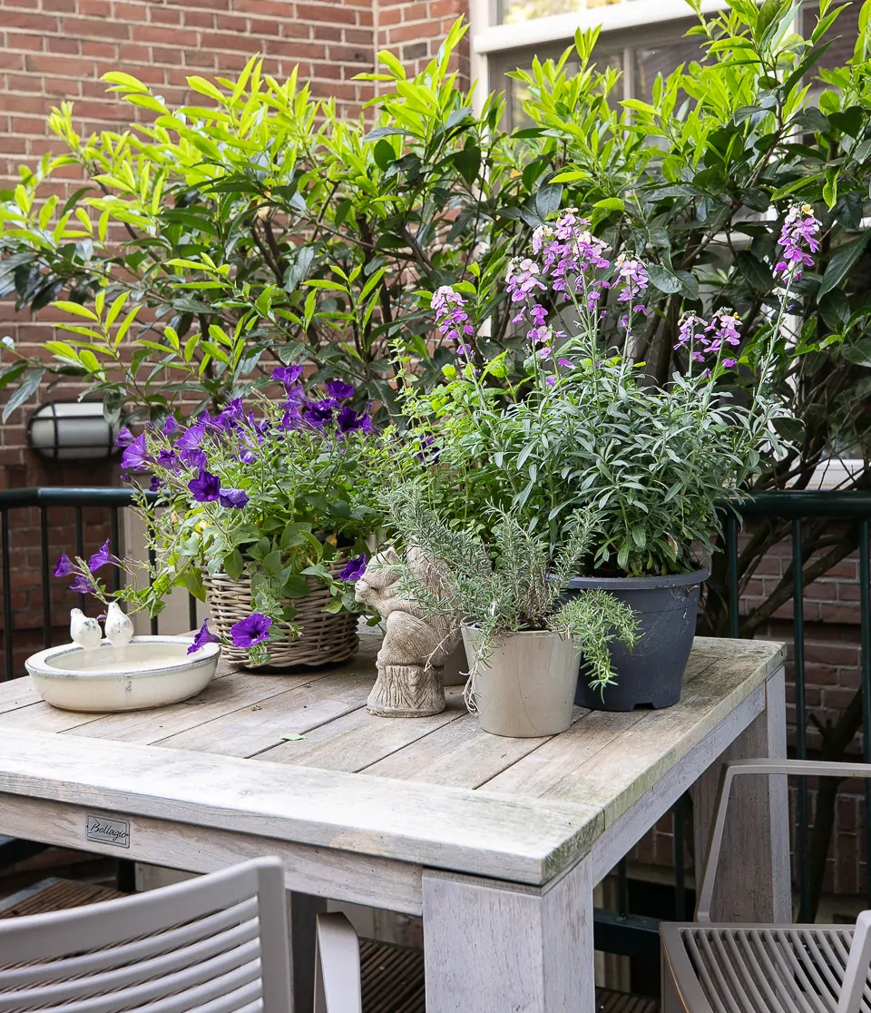 J.M. Coenenstraat_48_Amsterdam-48